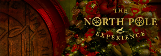 BinkyBro at the Little America's North Pole Experience