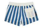 Blue and white striped swim trunks featuring an elastic waistband and a back pocket, designed for kids' summer fun.